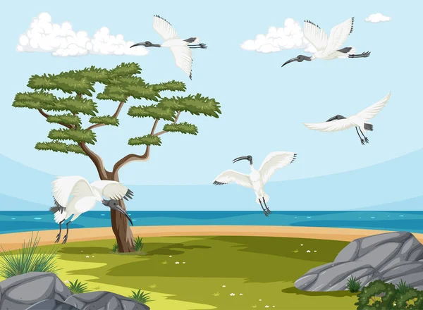 Grupo Ibis Blanco Australiano Ilustración Del Paisaje Humedales — Vector de stock