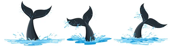 Different Tails Whale Water Illustration — ストックベクタ