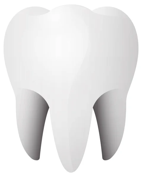 Ilustração Isolada Dente Humano — Vetor de Stock