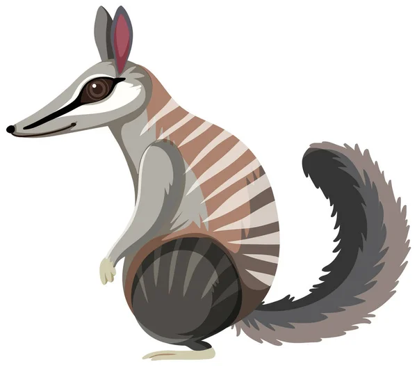 Side View Numbat Illustration — Stock Vector