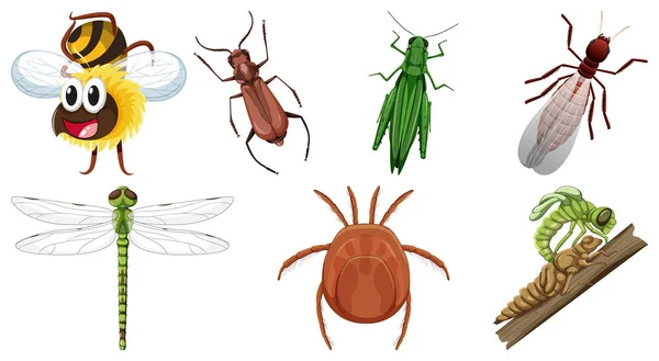 Sada Různých Druhů Hmyzu Ilustrace — Stockový vektor