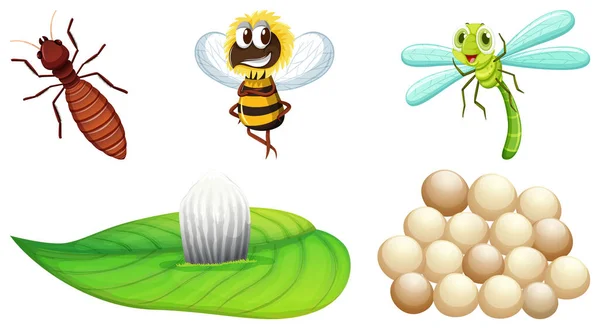 Set Diferite Tipuri Insecte Ilustrare — Vector de stoc