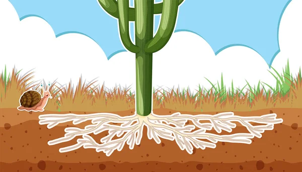 土の中に根を示す植物のサムネイルデザインイラスト — ストックベクタ