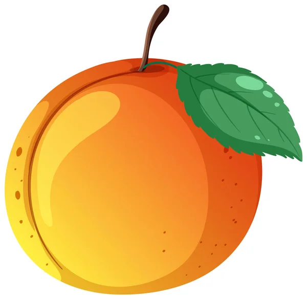 Peach Dengan Gambar Vektor Daun - Stok Vektor