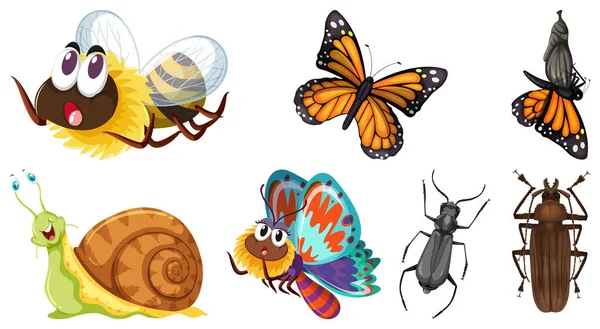 Collection Illustrations Vectorielles Différents Insectes — Image vectorielle