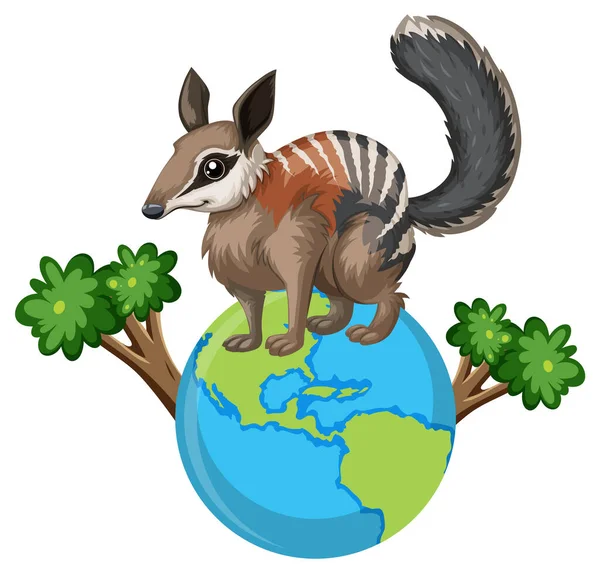 Numbat Ilustração Globo —  Vetores de Stock