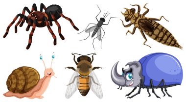 Çeşitli böcekler resimde kümesi