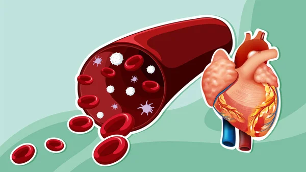 Thumbnail Design Blood Hemoglobin Illustration — Stock Vector