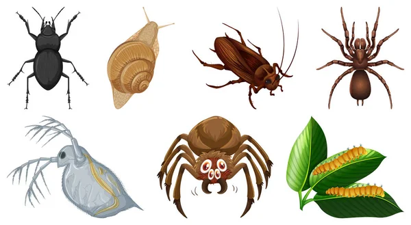 Colección Diferentes Insectos Vector Ilustración — Archivo Imágenes Vectoriales