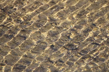 Bir yaz gününde gölün su yüzeyi.