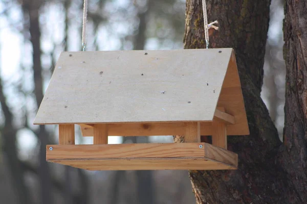 Casa Uccelli Legno Appesa Albero — Foto Stock