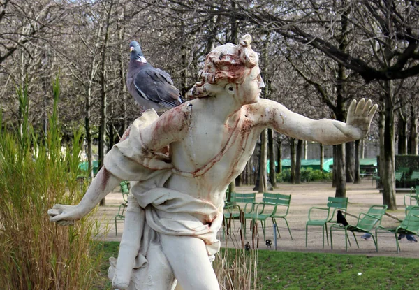 Paris Frankrike Oktober 2020 Klassisk Skulptur Daphne Figuren För Apollon — Stockfoto