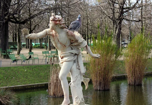 Paris Frankrike Oktober 2020 Klassisk Skulptur Daphne Figuren För Apollon — Stockfoto