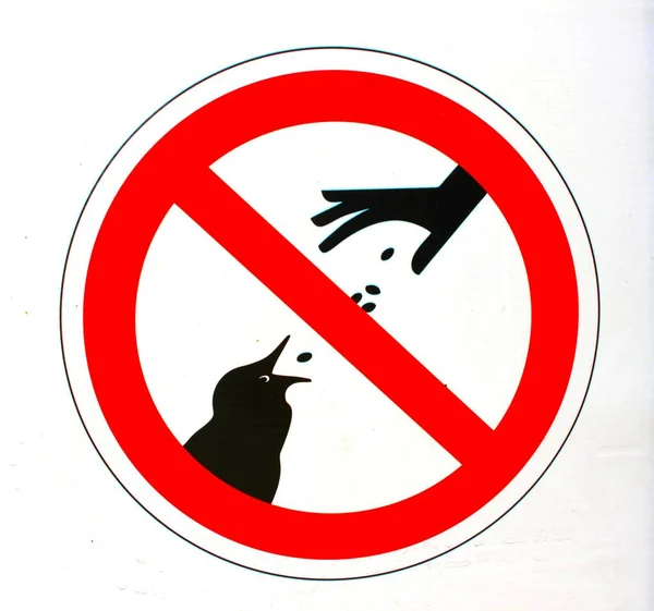 Halka Açık Yerlerde Kuşların Beslenmesini Yasaklayan Bir Işaret Beyaz Arka — Stok fotoğraf