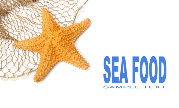 Рыболовецкая сеть с морской звездой и легко съемный текст . — стоковое фото