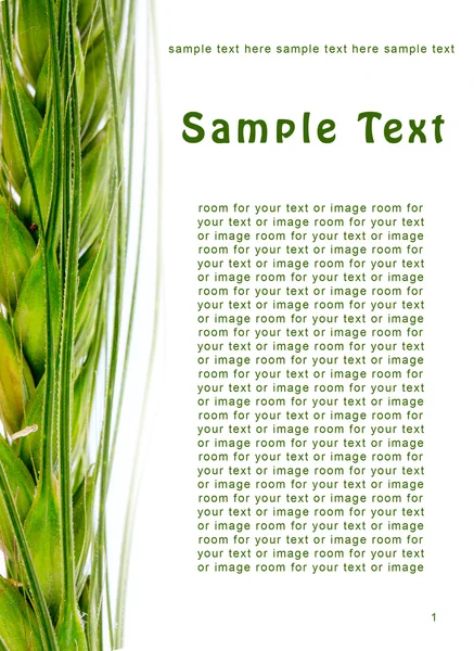 Grain and easy to remove the text — Stock Photo, Image