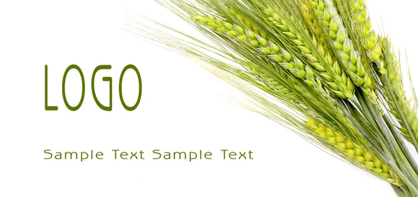 Grain and easy to remove the text — Stock Photo, Image