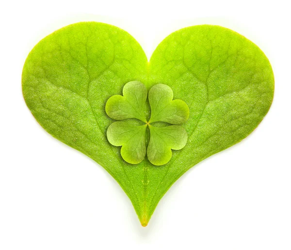 Green hearth with quarter-foil, symbol of a St Patrick day on a white background. — Stock Photo, Image