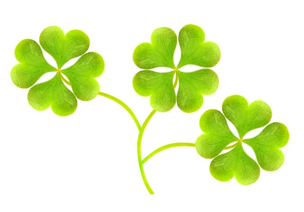 Green quarter-foils, symbols of a St Patrick day on a white background. — Stock Photo, Image
