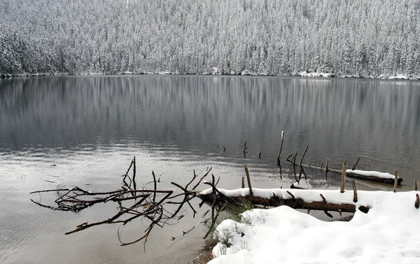 Prima neve nel lago Devi. Posto misterioso nel parco nazionale Sumava - Repubblica Ceca Europa — Foto Stock