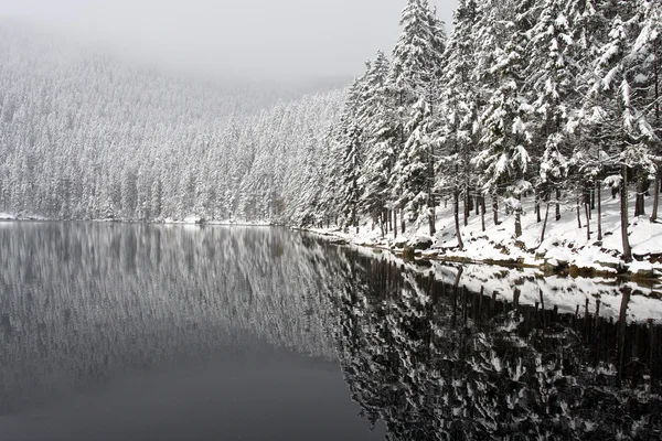 Primeira neve em Devi Lake. Lugar mistério no parque nacional Sumava - República Checa Europa — Fotografia de Stock