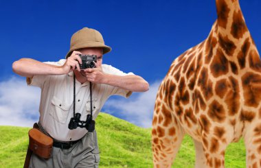 komik resim. çılgın vahşi yaşam fotoğrafçısı ve zürafa.