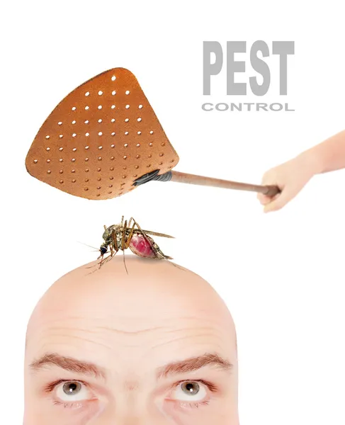 Smashing flyswatter over a sucking mosquito on a men's head — Stock Photo, Image