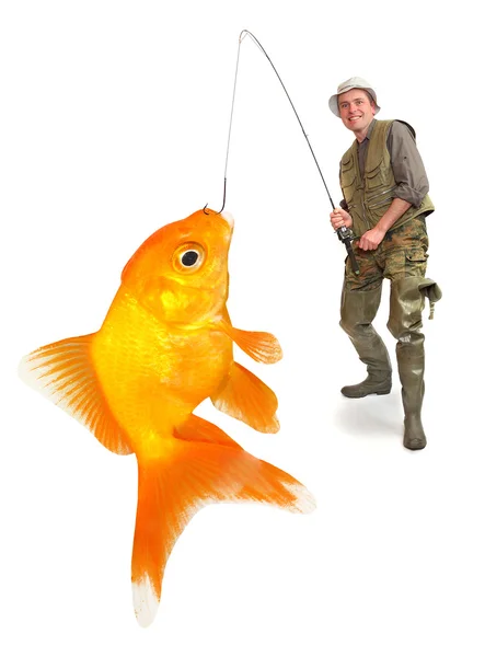 Le pêcheur avec son gros poisson rouge. Concept d'entreprise réussi . — Photo