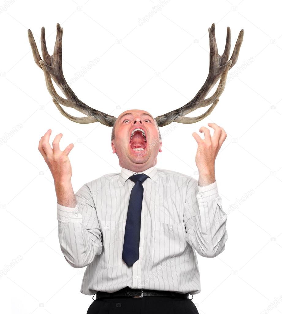 Funny picture of an stupid manager (husband) with great antlers