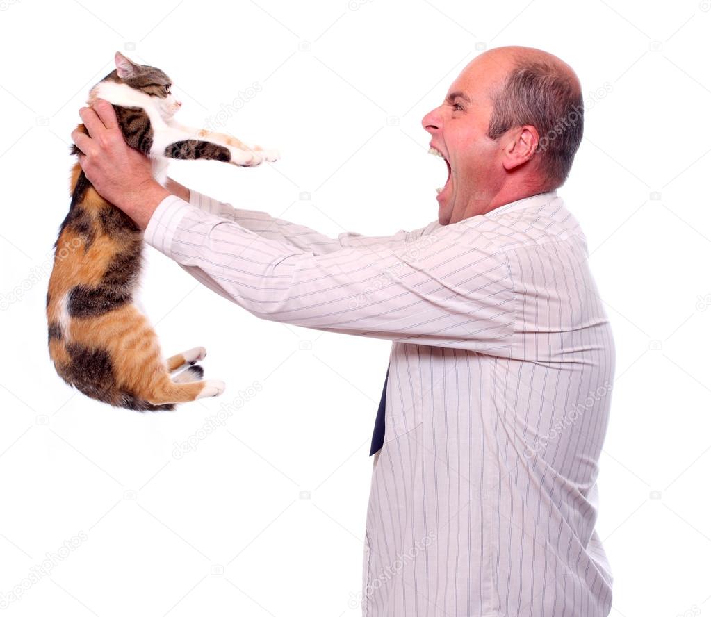 Kızgın işadamı ile kedi — Stok Foto © vladvitek 29591675