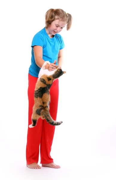 Chica joven jugando con el gato . — Foto de Stock