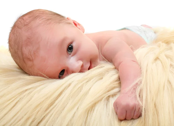 Söt baby på pälsen. — Stockfoto