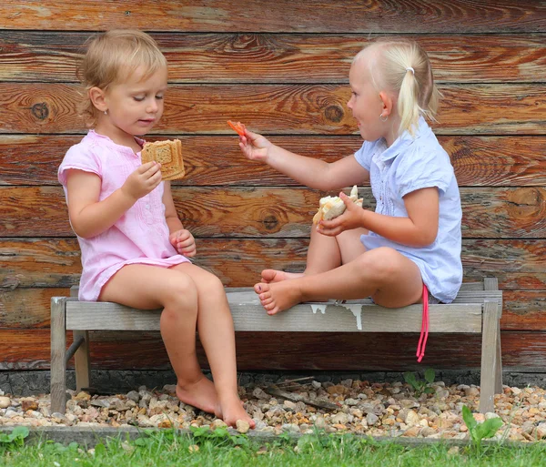 Çocuklar piknik — Stok fotoğraf