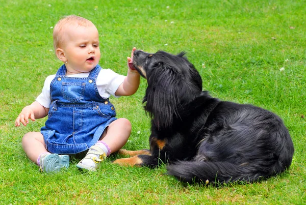 Pequeño bebé con perro en una hierba . — Foto de Stock