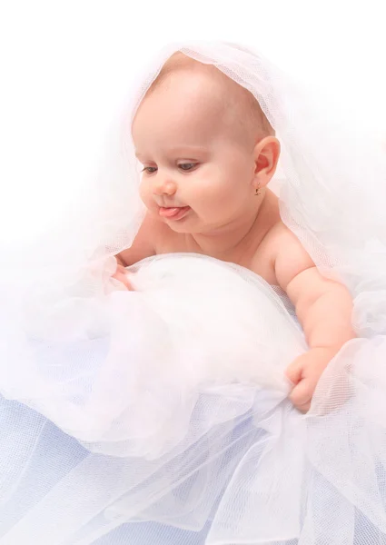 Cute baby on a plushy blanket. Stock Image