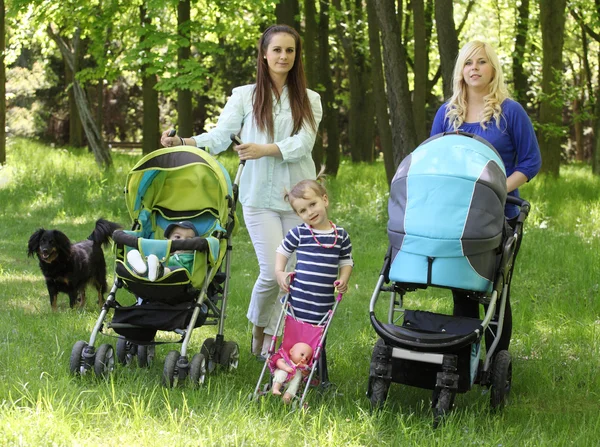 Moeders met baby's in park. — Stockfoto