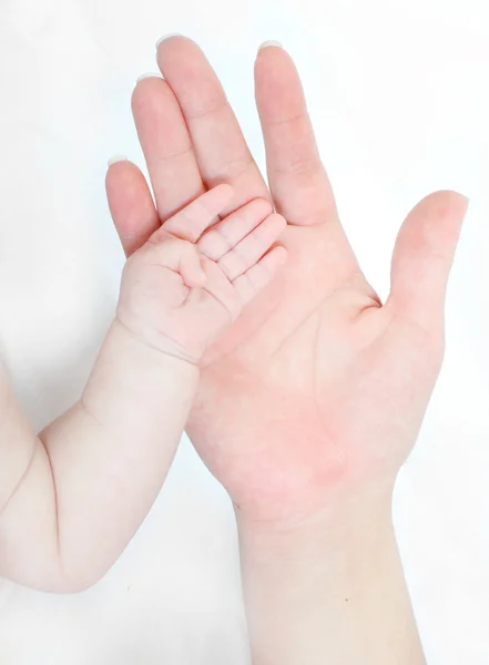 Mütter und Baby Hand. — Stockfoto