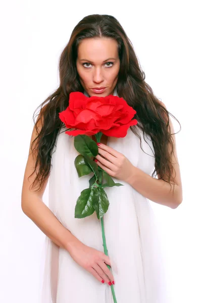 Alta chave retrato bela menina vestida em véu nupcial com flor . — Fotografia de Stock