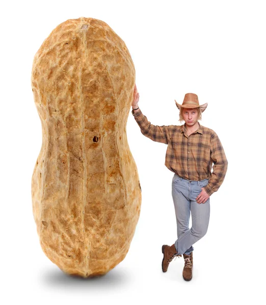 Farmer with peanut — Stock Photo, Image