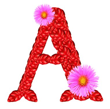 mektup bir kırmızı yaprakları ve aster çiçekler