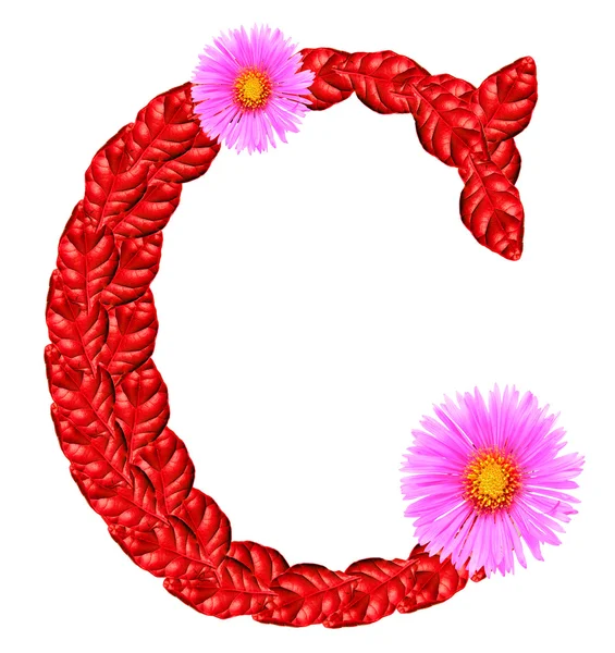 C list od czerwonych liści i kwiatów aster — Zdjęcie stockowe