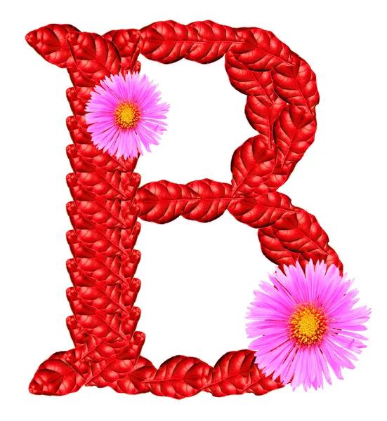 Letra B de hojas rojas y flores de astro — Foto de Stock