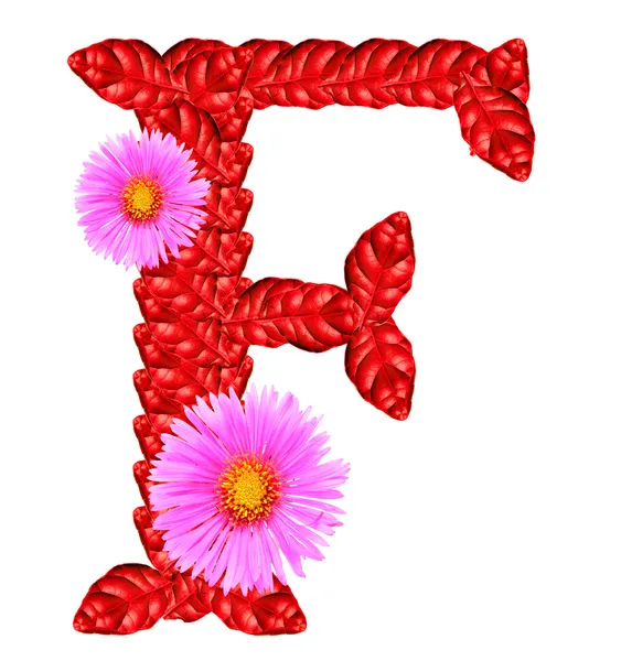 Letter F from red leaves and aster flowers — Stock Photo, Image