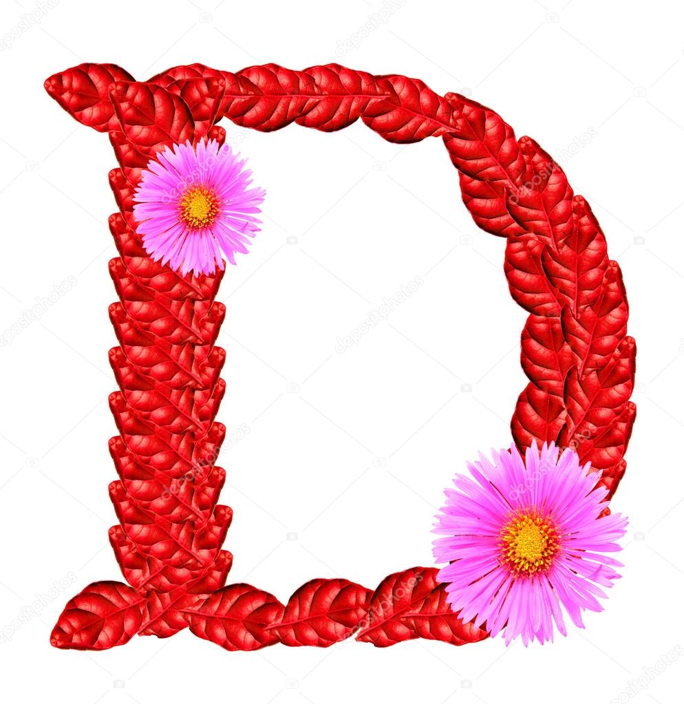 Letter D from red leaves and aster flowers