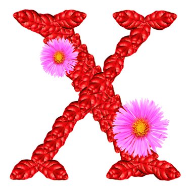 mektup x kırmızı yaprakları ve aster çiçekler