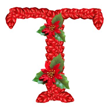 Yılbaşı çiçekleri kırmızı mektup. güzel Noel alfabesi.