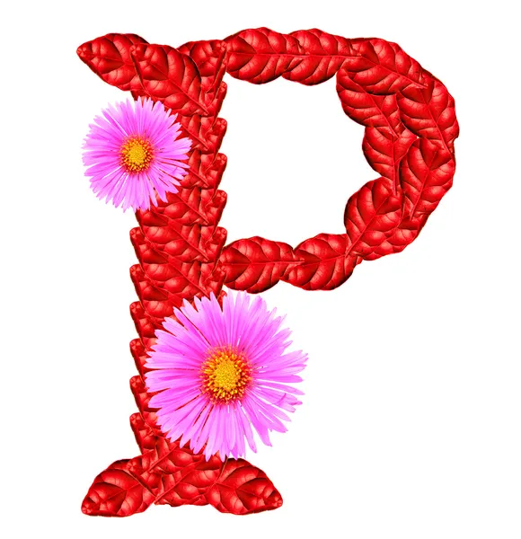 Letter P from red leaves and aster flowers — Stock Photo, Image