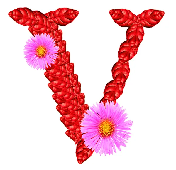 Letter V from red leaves and aster flowers — Stock Photo, Image