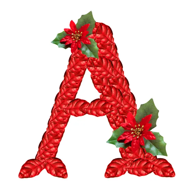 Lettre de fleurs de Noël rouges. Bel alphabet de Noël . — Photo