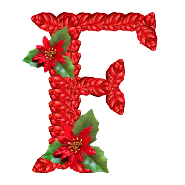 Carta de flores vermelhas do Natal. Alfabeto de Natal agradável . — Fotografia de Stock